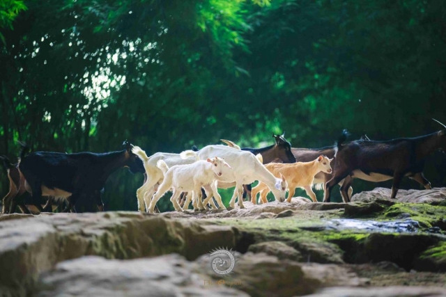 $vo['fname']|default='栗田哲男