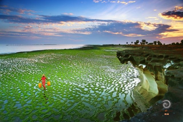 $vo['fname']|default='Zaw Zaw Tun