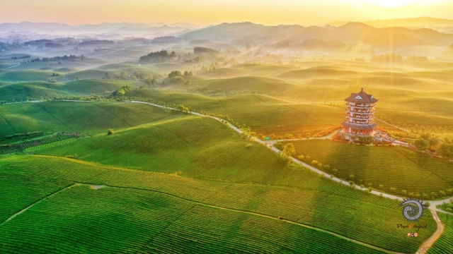 $vo['fname']|default='拍摄于2021年5月15日，中国西部茶海景区位于湄潭县永兴镇,连片茶园有4万余亩,是目前我国最大的茶海景区,5月中旬的清晨，刚从地平线上升起的太阳映照在茶林中、茶树上，显得绿波荡漾