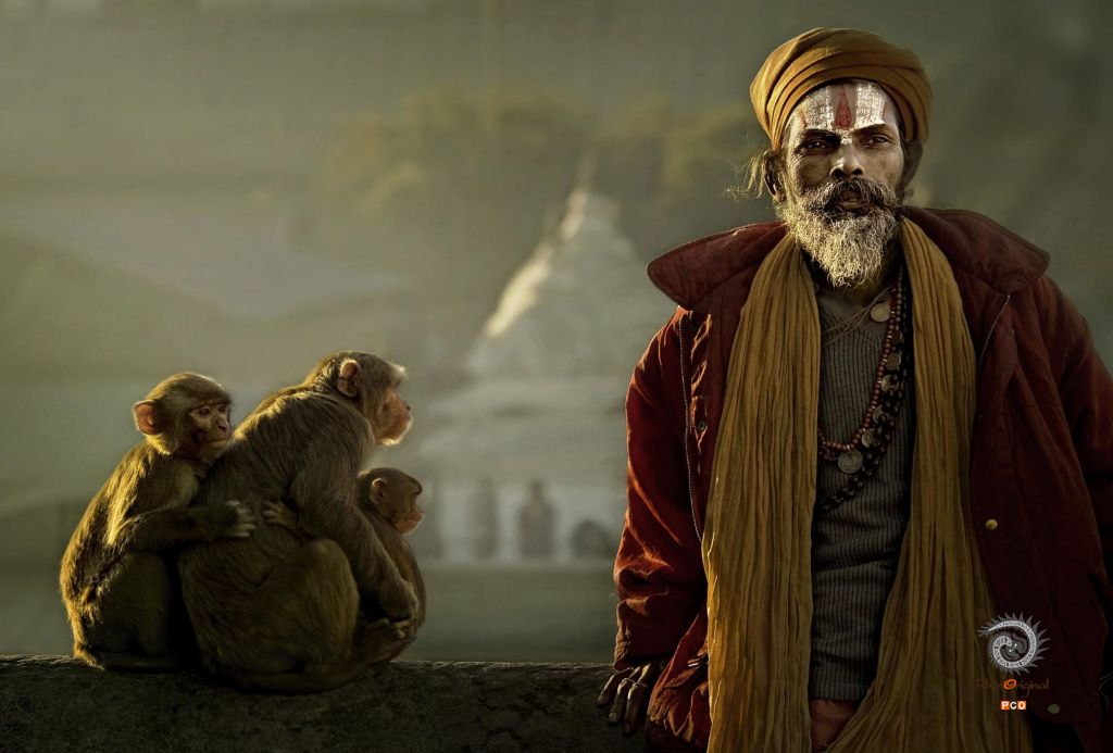 测试图片