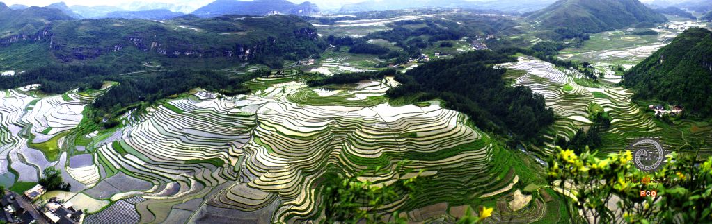贵州龙里梯田