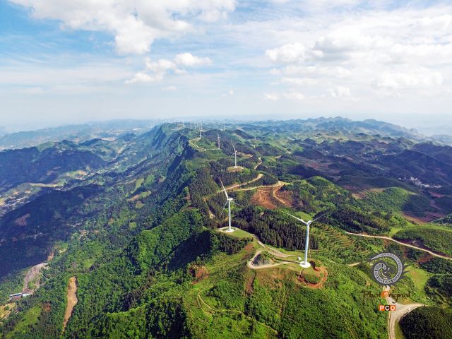 东关茶山