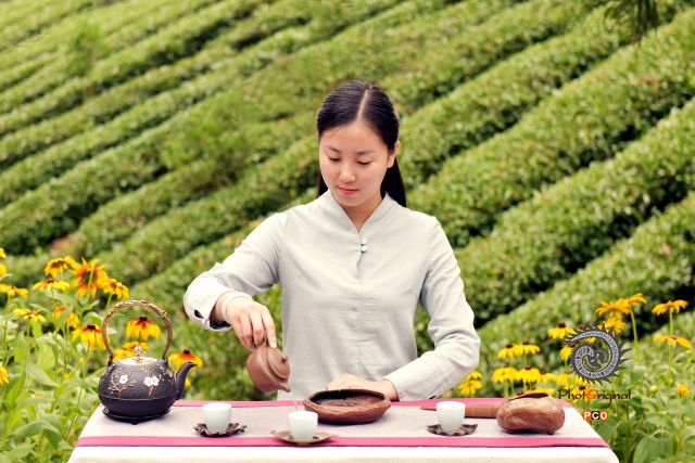 茶香花香惹人醉