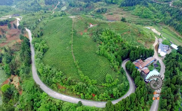 多贝茶山