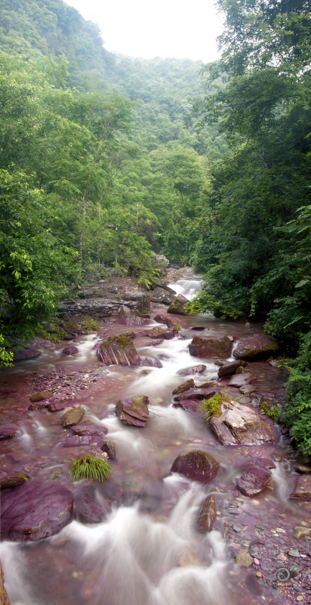 锦江两岸