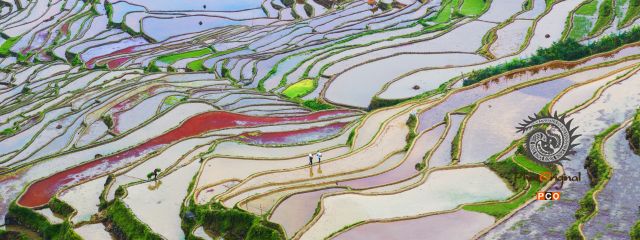 多彩加榜