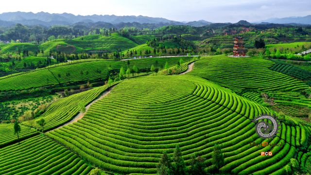 大地指纹