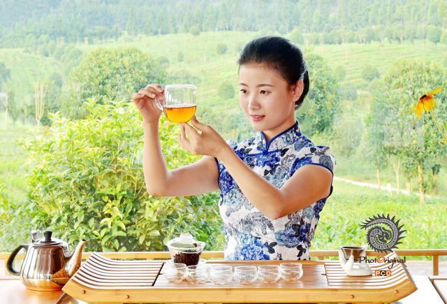 红茶醇妍