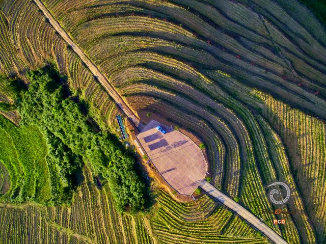 《建设中的黄红缨茶业基地》组照（航拍）
