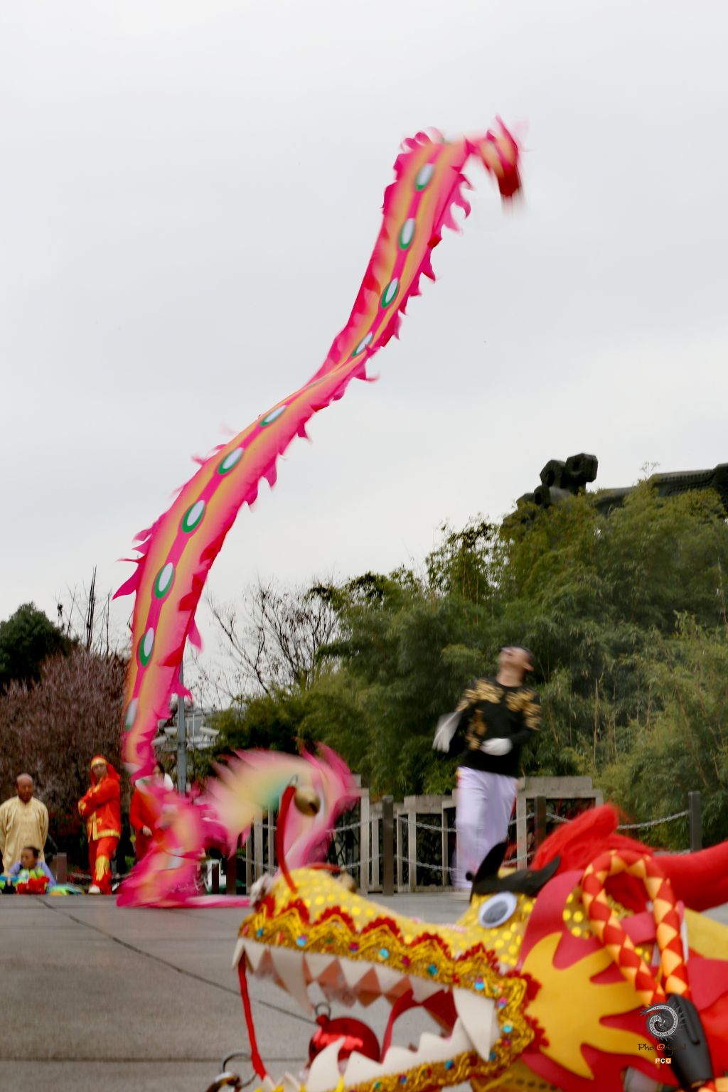 《尾扫二月龙抬头》（组照）