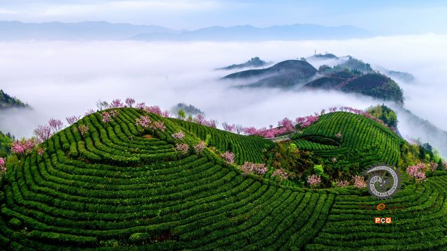 多彩贵州·第十四届中国原生态国际摄影大展 · 周访华 的图集