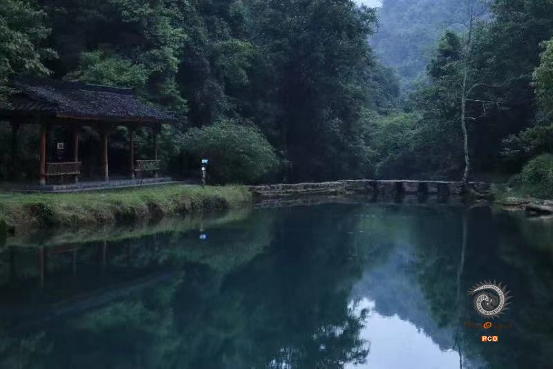 茂兰·晨