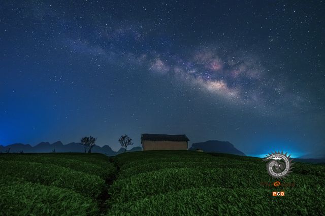 银河下的茶场