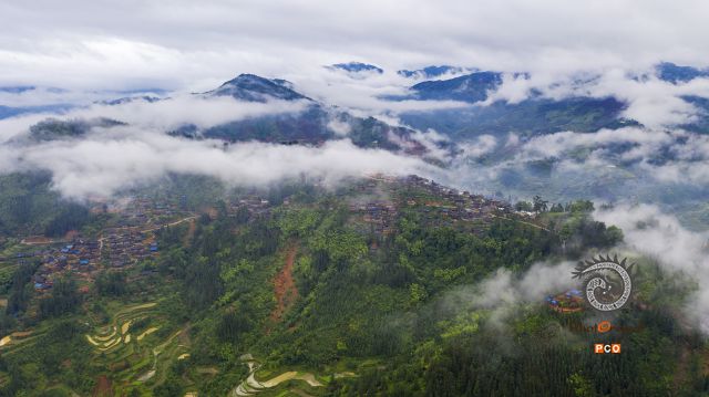 大歹的变迁
