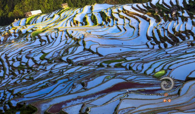 《加榜梯田》