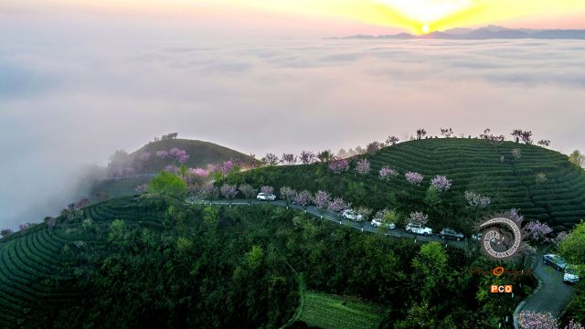 专业组〈茶旅路线〉茶旅在湄潭的象山 组照5