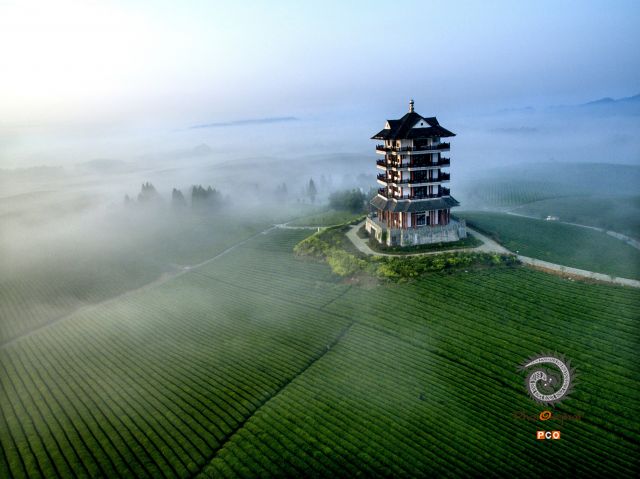 专业组〈茶旅路线〉茶旅茶海的观景台 组照5