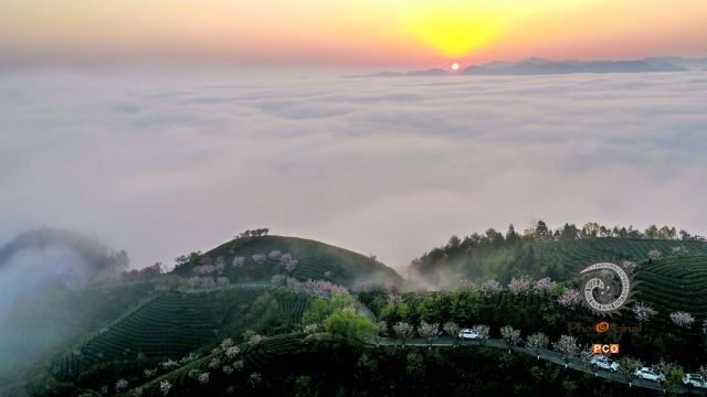 专业组〈茶旅路线〉茶旅在湄潭的象山 组照4