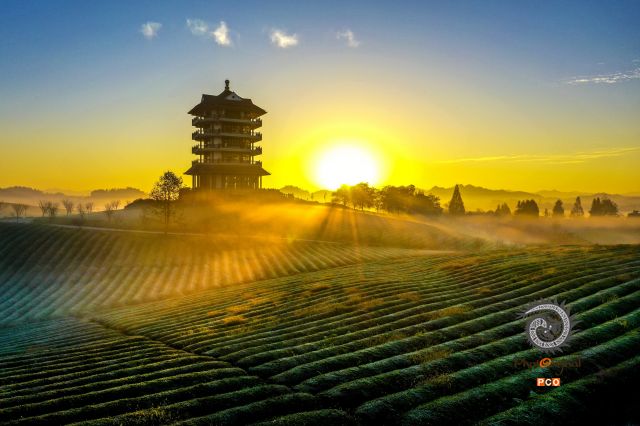 专业组〈茶旅路线〉茶旅茶海的观景台 组照1