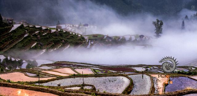 《云上梯田》