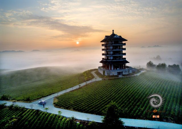 专业组〈茶旅路线〉茶旅茶海的观景台 组照4