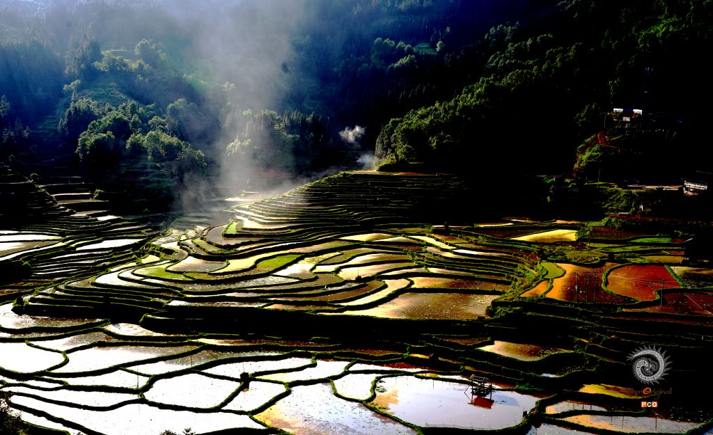 梯田