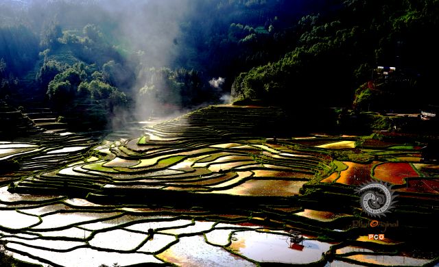 梯田