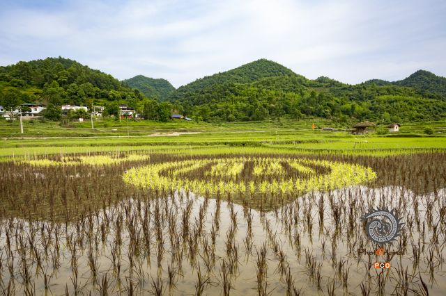 石印田园庆建党
