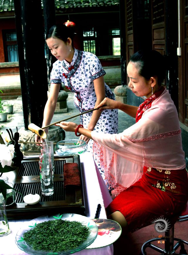 专业组〈冲泡类〉茶道  组照5