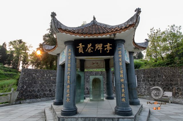 见证