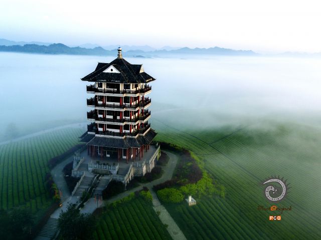 专业组〈茶旅路线〉茶旅茶海的观景台 组照3