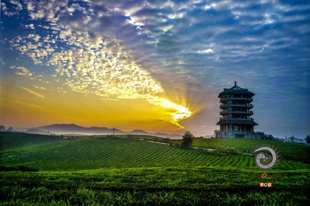 专业组〈茶旅路线〉茶旅茶海的观景台 组照6