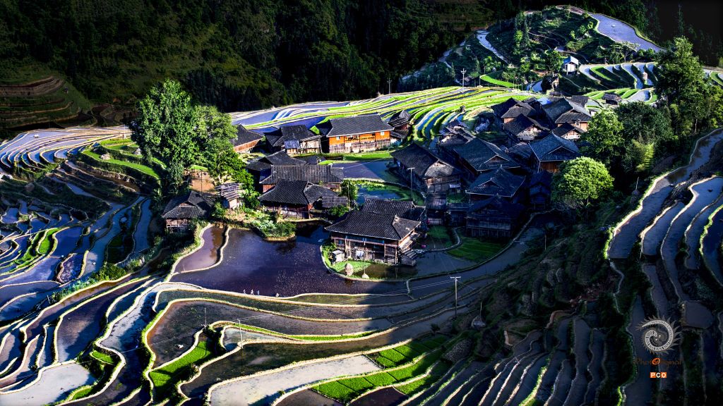 《田园抱屋》