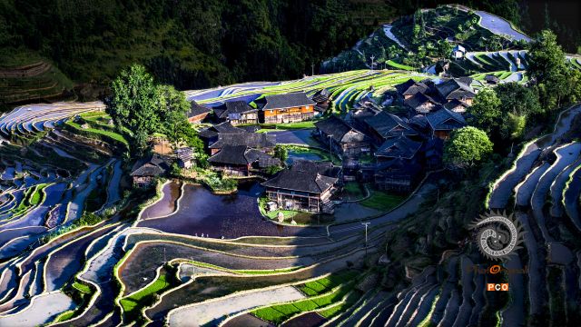 《田园抱屋》
