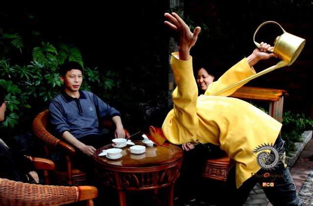 专业组〈冲泡类〉茶道  组照4
