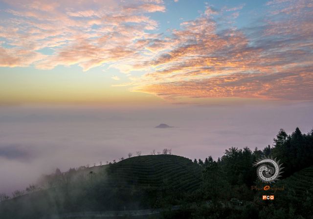专业组〈茶旅路线〉茶旅在湄潭的象山 组照1