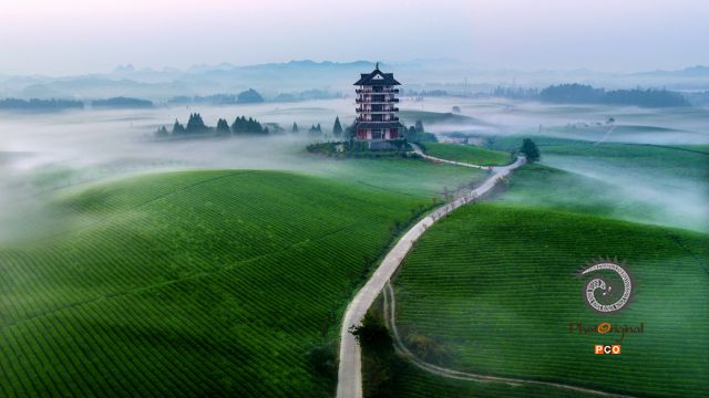 专业组〈茶旅路线〉茶旅茶海的观景台 组照2