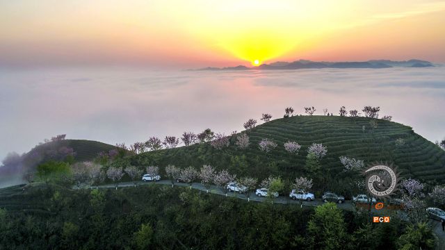 专业组〈茶旅路线〉茶旅在湄潭的象山 组照6