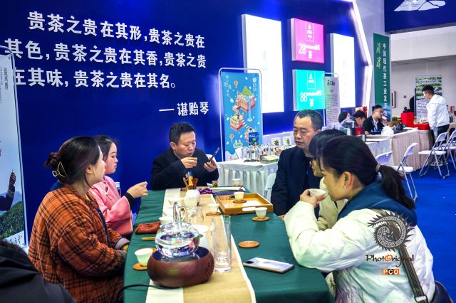 专业组〈冲泡类〉茶 道  组照10