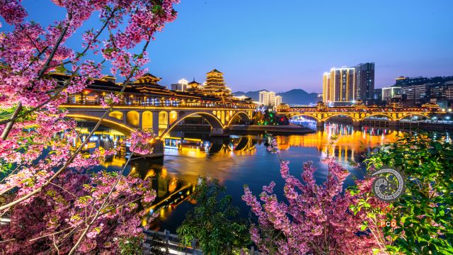 春花伴廊桥
