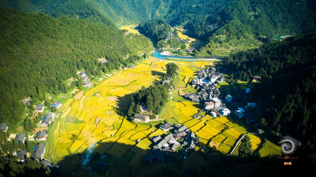 丰收在望