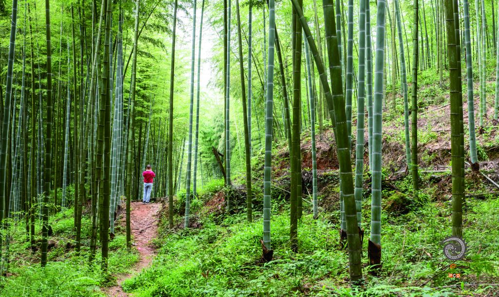 富竹生活