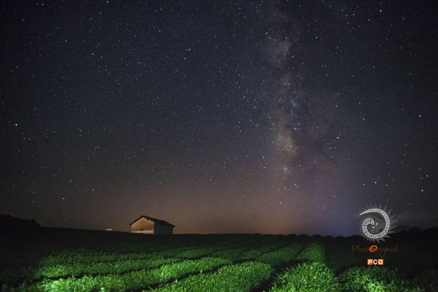 安顺茶山星空