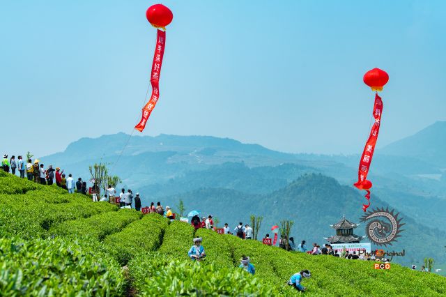 茶园欢庆