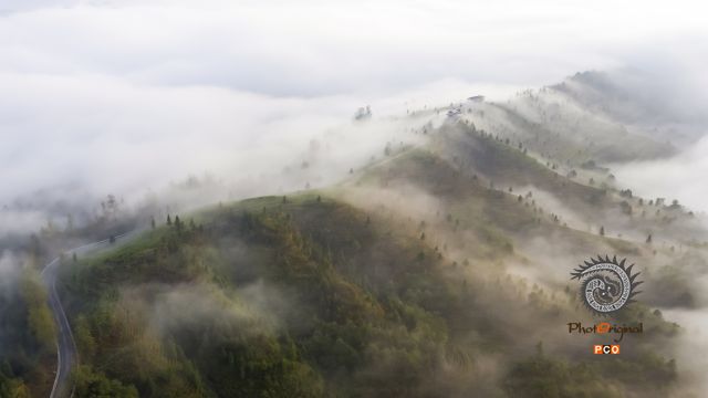 《雾绕茶山》