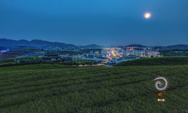月色茶园