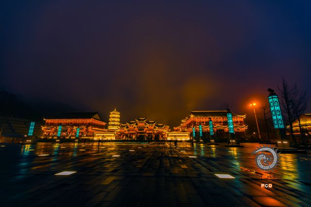 夜探茶博园