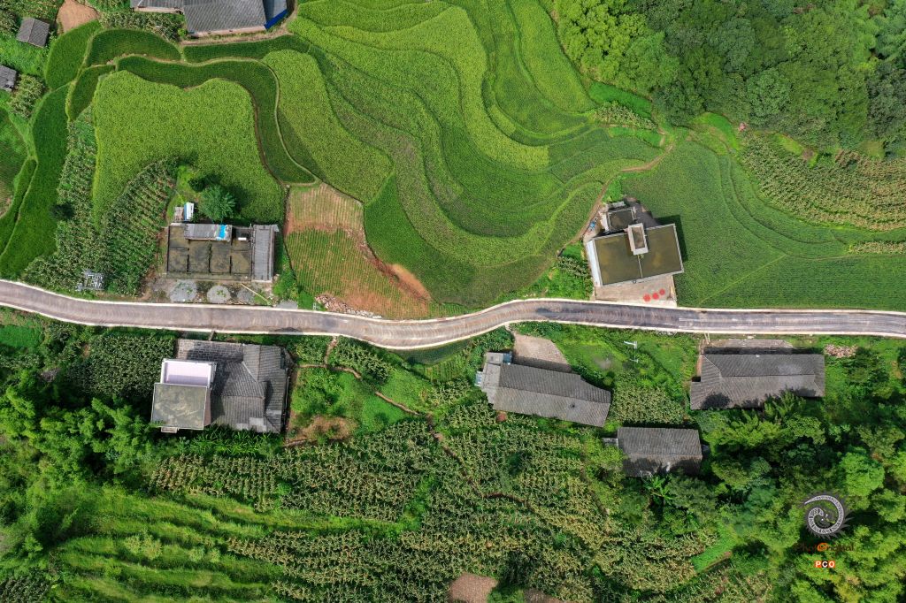 乡村振兴，交通先行