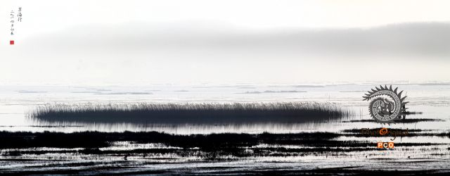 草海行