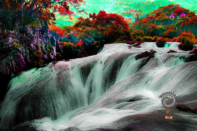 DSC_7341银链坠潭